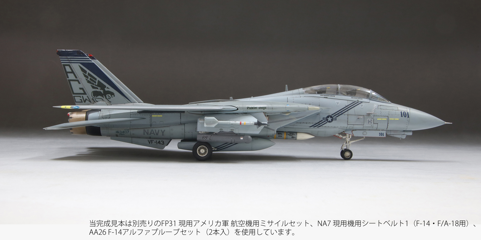 1/72アメリカ海軍F-14Bトムキャット“ピューキンドッグス”