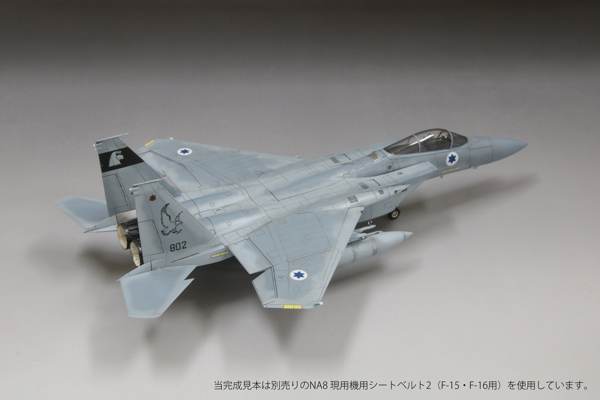 1/72イスラエル空軍F-15C“バズ”